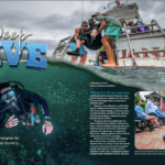 Your Free Read – Deep Dive